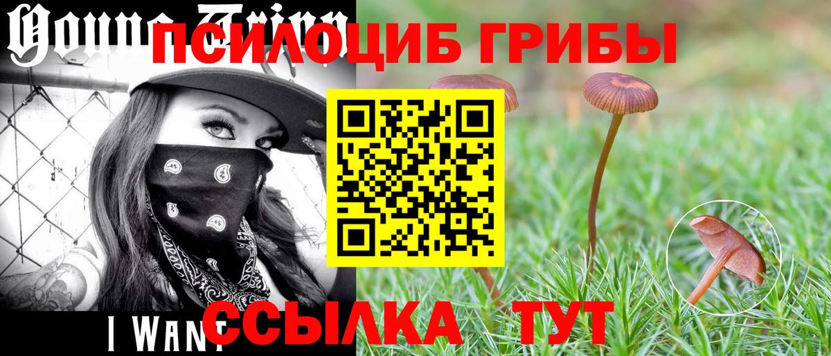Галлюциногенные грибы MAGIC MUSHROOMS  Вход с VPN  Долгопрудный 